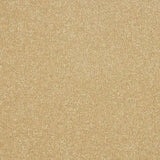 Abingdon Stainfree Maximus Carpet Exen Flooring