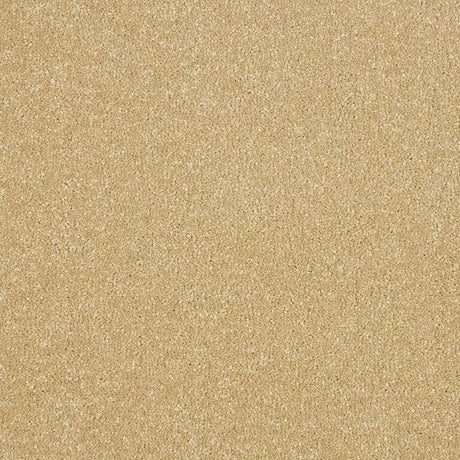 Abingdon Stainfree Maximus Carpet Exen Flooring