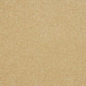 Abingdon Stainfree Maximus Carpet Exen Flooring