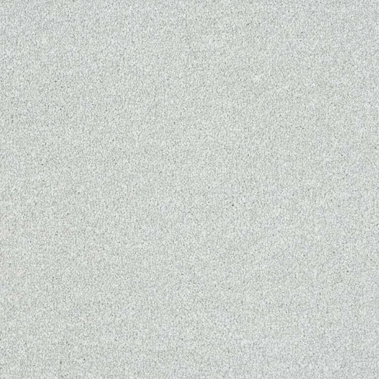 Abingdon Stainfree Maximus Carpet Exen Flooring