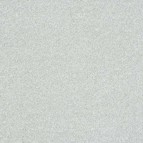 Abingdon Stainfree Maximus Carpet Exen Flooring