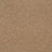 Abingdon Stainfree Maximus Carpet Exen Flooring