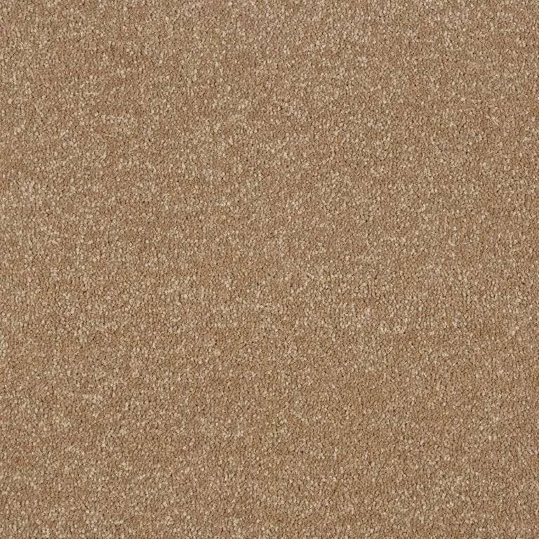 Abingdon Stainfree Maximus Carpet Exen Flooring