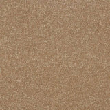 Abingdon Stainfree Maximus Carpet Exen Flooring
