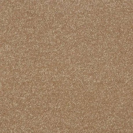 Abingdon Stainfree Maximus Carpet Exen Flooring