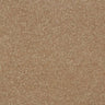 Abingdon Stainfree Maximus Carpet Exen Flooring