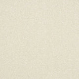Abingdon Stainfree Maximus Carpet Exen Flooring