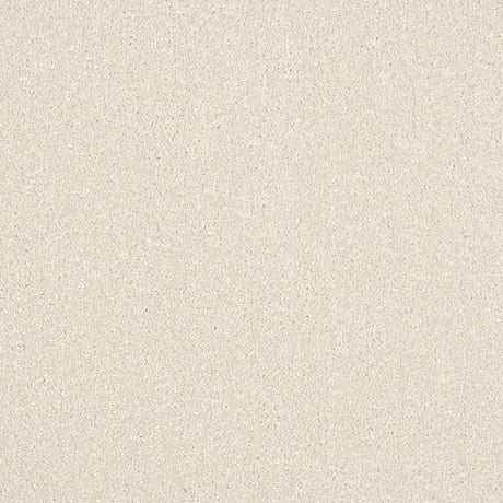 Abingdon Stainfree Maximus Carpet Exen Flooring