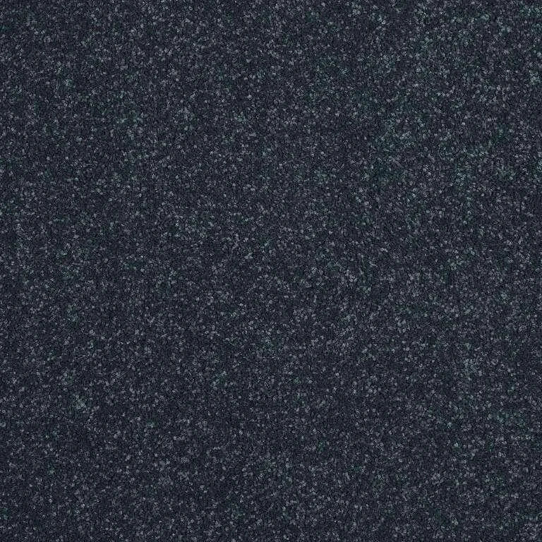 Abingdon Stainfree Maximus Carpet Exen Flooring