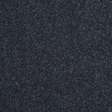 Abingdon Stainfree Maximus Carpet Exen Flooring