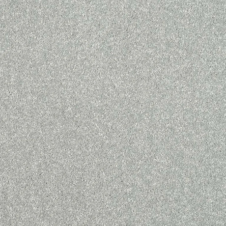 Abingdon Stainfree Maximus Carpet Exen Flooring