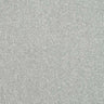 Abingdon Stainfree Maximus Carpet Exen Flooring