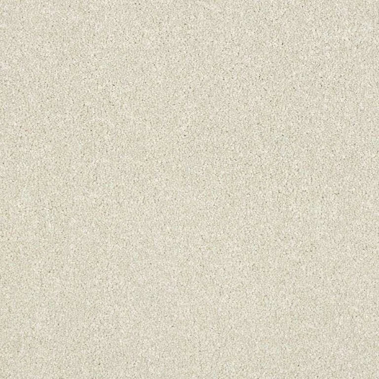 Abingdon Stainfree Maximus Carpet Exen Flooring
