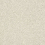 Abingdon Stainfree Maximus Carpet Exen Flooring