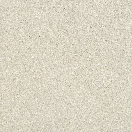 Abingdon Stainfree Maximus Carpet Exen Flooring