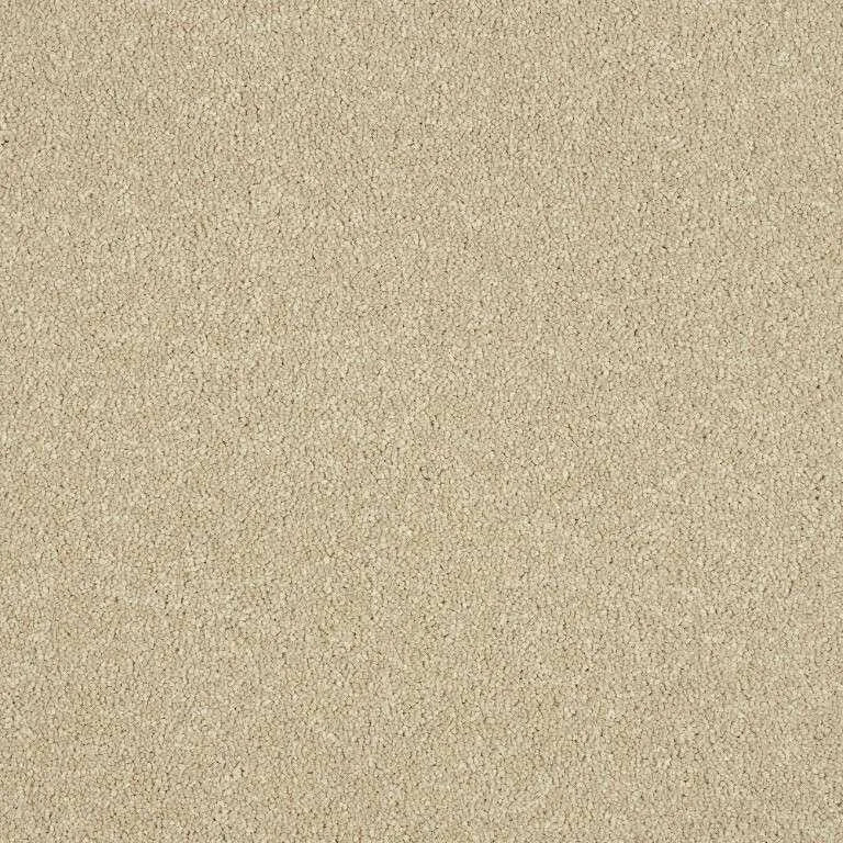 Abingdon Stainfree Maximus Carpet Exen Flooring