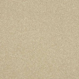 Abingdon Stainfree Maximus Carpet Exen Flooring