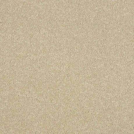 Abingdon Stainfree Maximus Carpet Exen Flooring