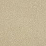 Abingdon Stainfree Maximus Carpet Exen Flooring