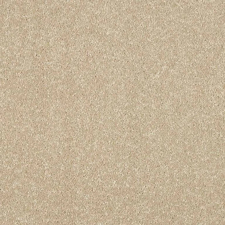 Abingdon Stainfree Maximus Carpet Exen Flooring
