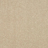 Abingdon Stainfree Maximus Carpet Exen Flooring