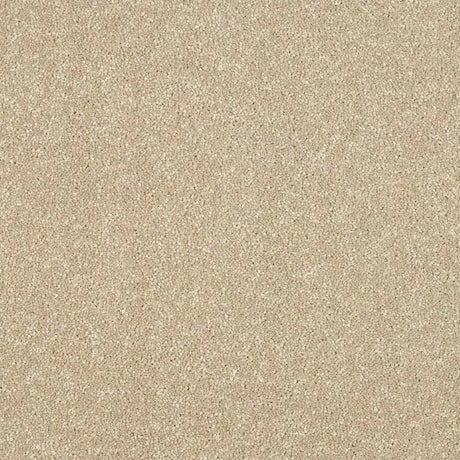 Abingdon Stainfree Maximus Carpet Exen Flooring