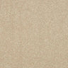 Abingdon Stainfree Maximus Carpet Exen Flooring
