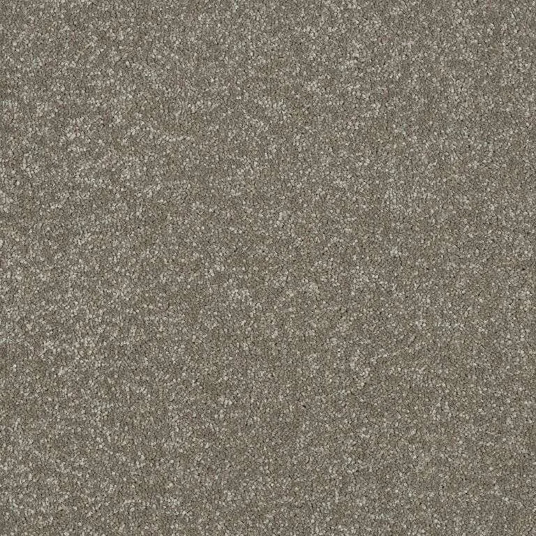 Abingdon Stainfree Maximus Carpet Exen Flooring