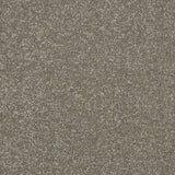 Abingdon Stainfree Maximus Carpet Exen Flooring