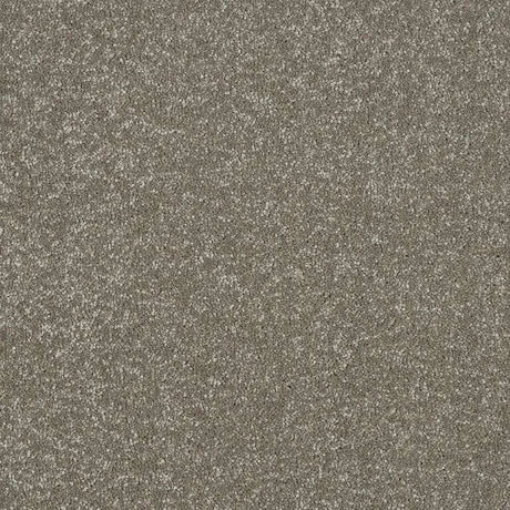 Abingdon Stainfree Maximus Carpet Exen Flooring