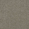 Abingdon Stainfree Maximus Carpet Exen Flooring