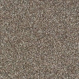 Abingdon Stainfree Rustique Saxony Carpet Exen Flooring