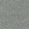 Abingdon Stainfree Rustique Saxony Carpet Exen Flooring