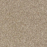 Abingdon Stainfree Rustique Saxony Carpet Exen Flooring
