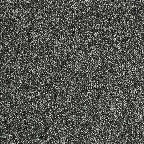 Abingdon Stainfree Rustique Saxony Carpet Exen Flooring