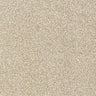 Abingdon Stainfree Rustique Saxony Carpet Exen Flooring