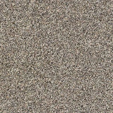 Abingdon Stainfree Rustique Saxony Carpet Exen Flooring
