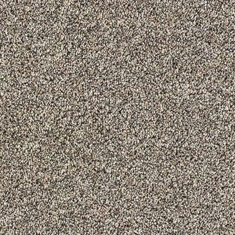 Abingdon Stainfree Rustique Saxony Carpet Exen Flooring