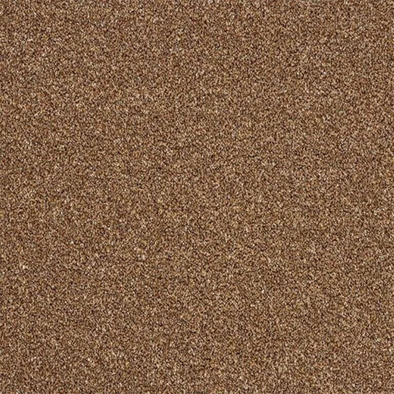 Abingdon Stainfree Rustique Twist Carpet Exen Flooring