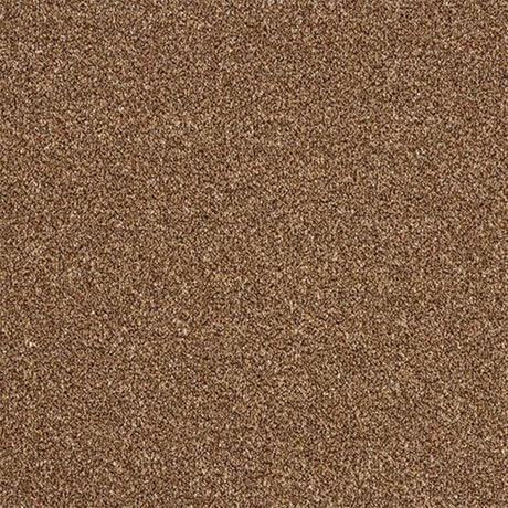 Abingdon Stainfree Rustique Twist Carpet Exen Flooring