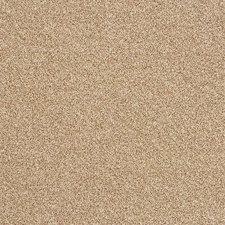 Abingdon Stainfree Rustique Twist Carpet Exen Flooring