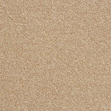 Abingdon Stainfree Rustique Twist Carpet Exen Flooring