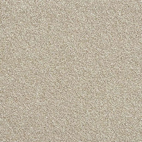 Abingdon Stainfree Rustique Twist Carpet Exen Flooring