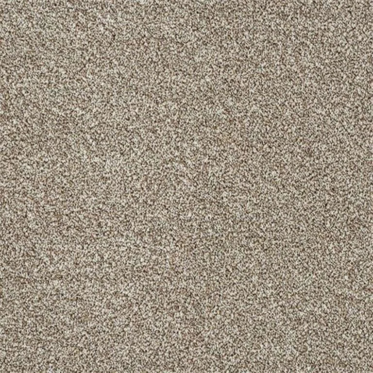 Abingdon Stainfree Rustique Twist Carpet Exen Flooring