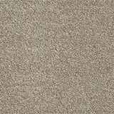 Abingdon Stainfree Rustique Twist Carpet Exen Flooring