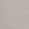 Abingdon Stainfree Rustique Twist Carpet Exen Flooring