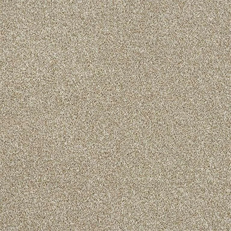 Abingdon Stainfree Rustique Twist Carpet Exen Flooring