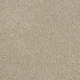 Abingdon Stainfree Rustique Twist Carpet Exen Flooring