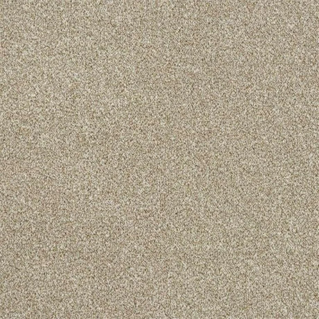 Abingdon Stainfree Rustique Twist Carpet Exen Flooring