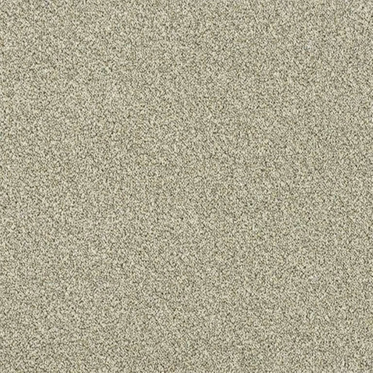 Abingdon Stainfree Rustique Twist Carpet Exen Flooring